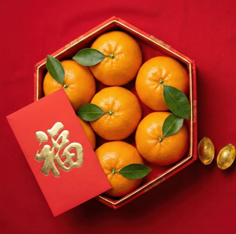 From health to family happiness, let these well wishes reflect the amazing year you’ll have ahead. 